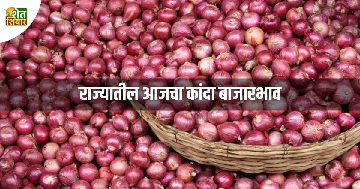 kanda-bajar-bhav-onion-market-rate