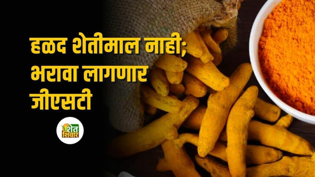 gst-will-have-to-be-paid-on-turmeric
