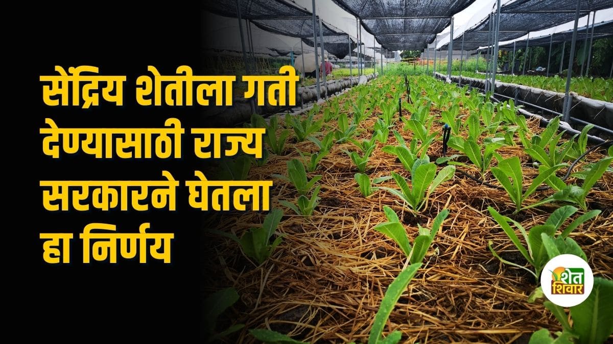 organic-farming-state-government