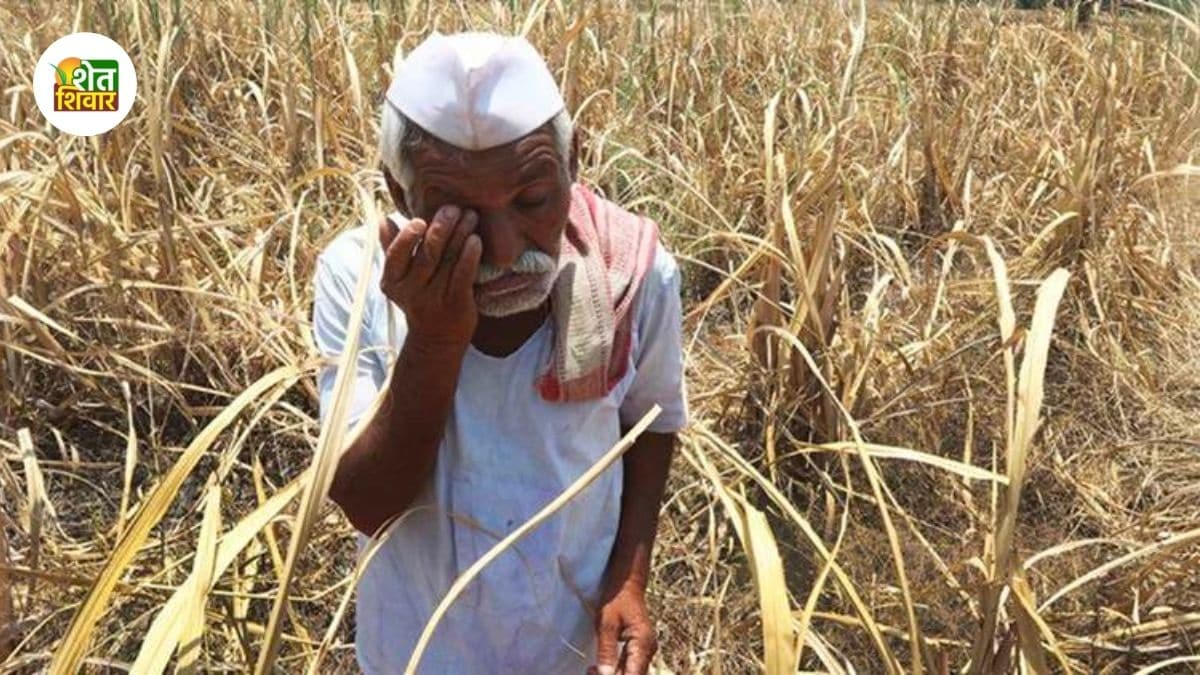 farmer-debt-waiver-is-just-a-rumor-but-still-many-farmers-are-deprived-of-loan-waiver
