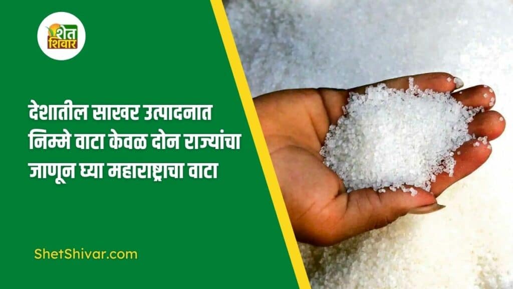only-two-states-account-for-half-countrys-sugar-production