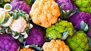 Colored-cauliflower