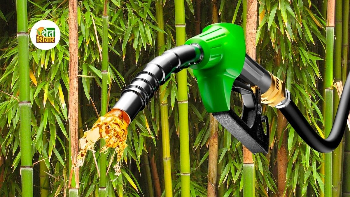 ethanol-bamboo