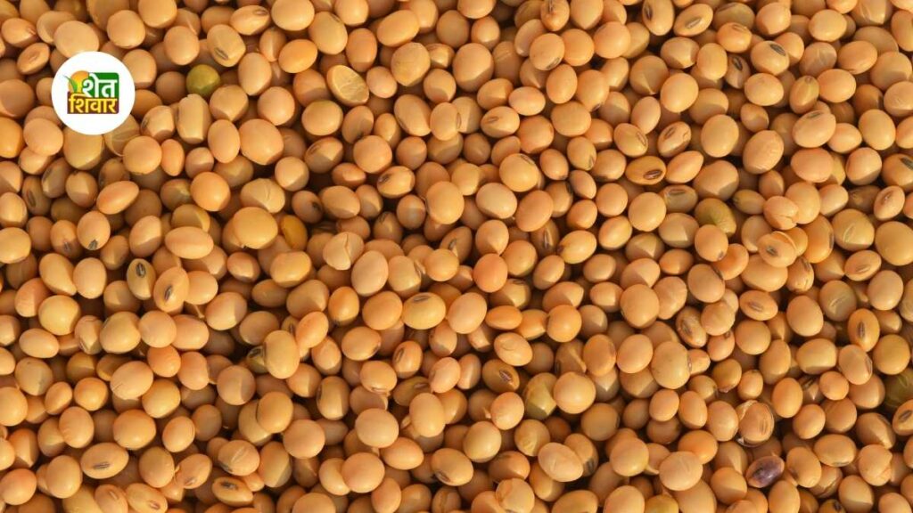 farmer discovers soybean varieties also obtained patents