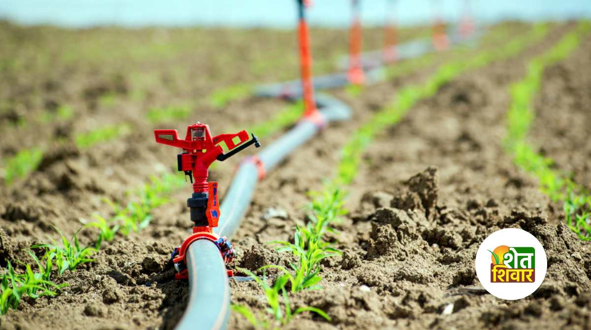 Take crops that grow in low water