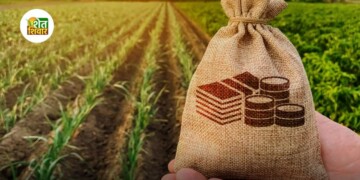 90 of farmers repaid crop loans