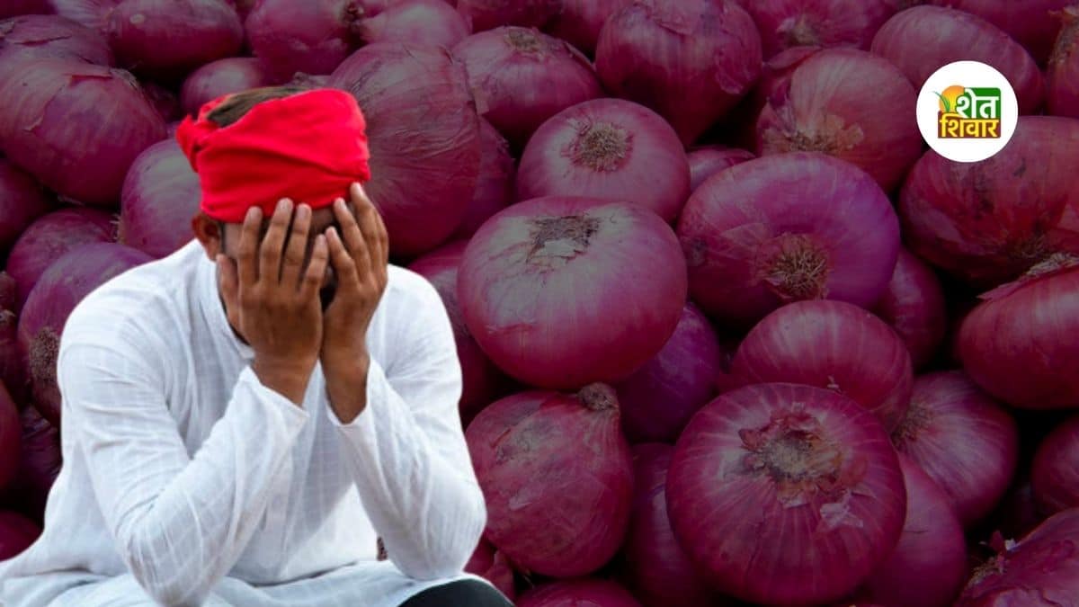 sad-onion-farmer