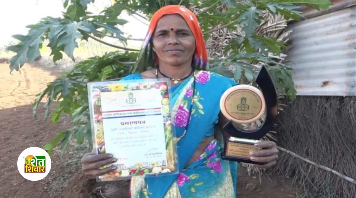 women farmer nandurbar
