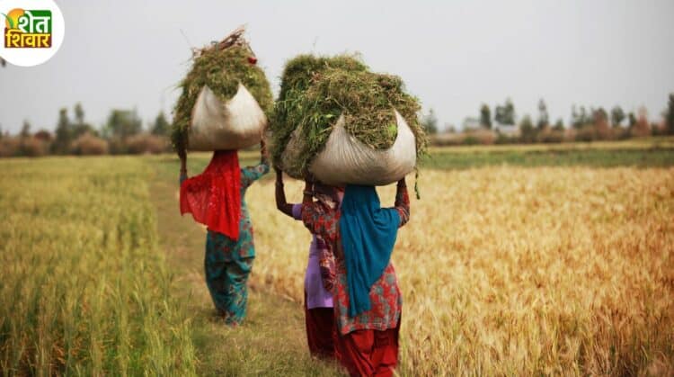 India Women Farmers Day